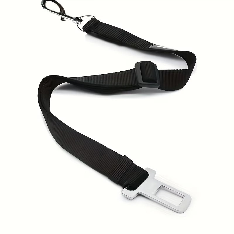 SafeTail™ Seat Belt