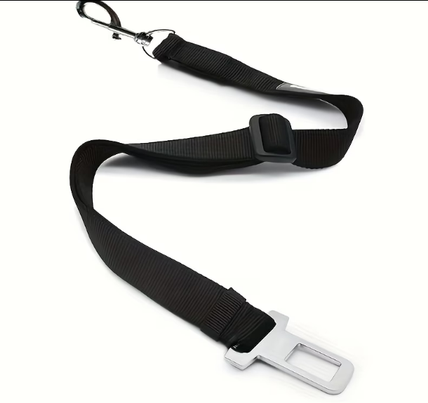 SafeTail™ Seat Belt