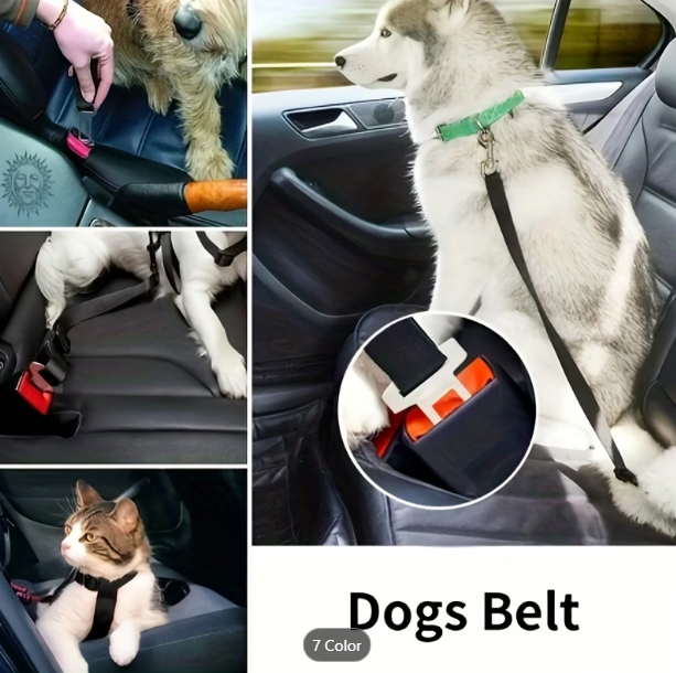 SafeTail™ Seat Belt