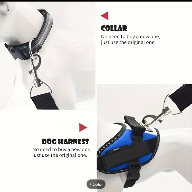 SafeTail™ Seat Belt