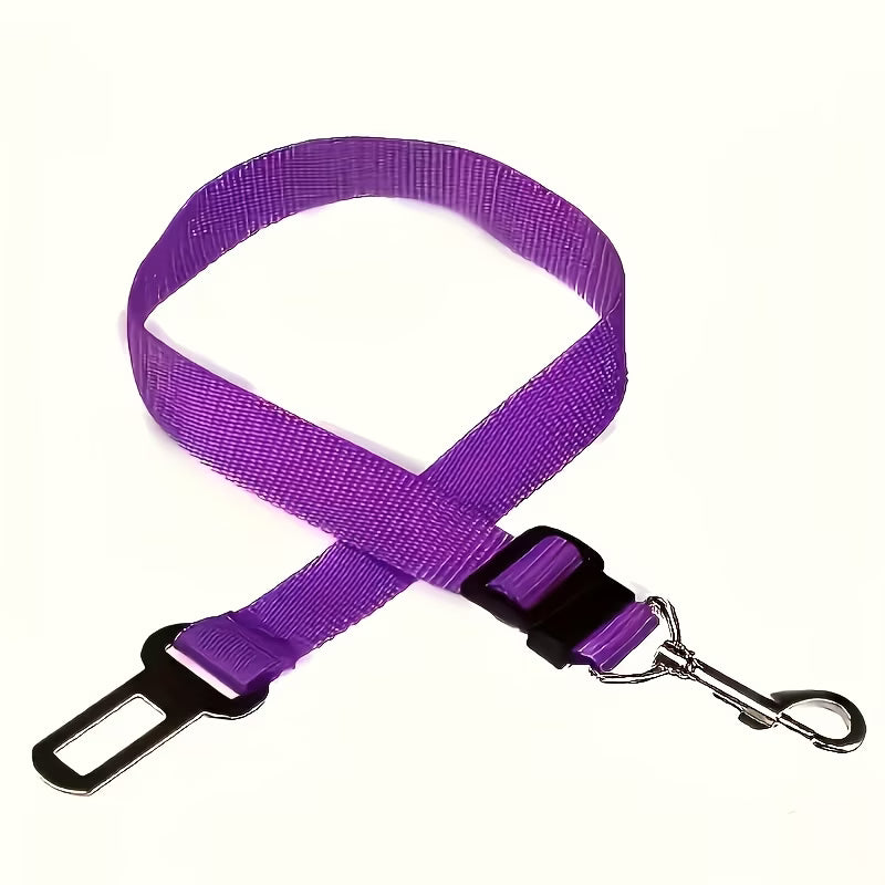 SafeTail™ Seat Belt